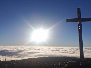 Appartement Freyung Omgeving 29