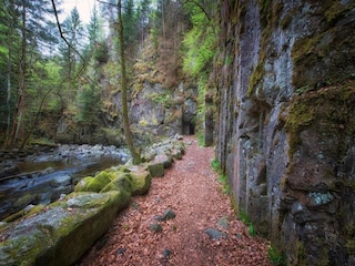 Apartment Freyung Umgebung 23