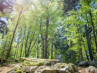 Apartamento Freyung Entorno 21