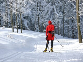 Apartment Freyung Environment 17