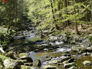 Apartment Freyung Umgebung 29