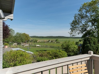 Fernblick Balkon