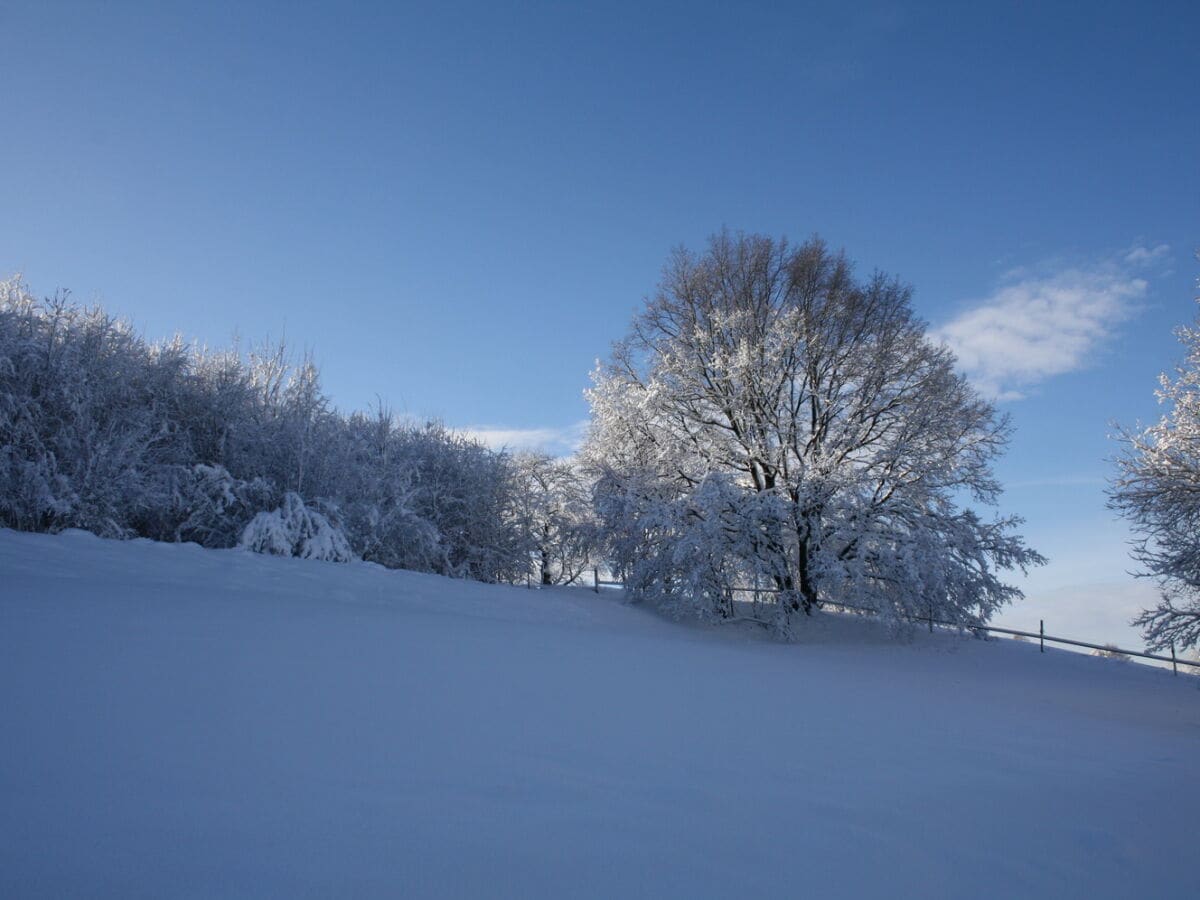 Winter in Sebnitz