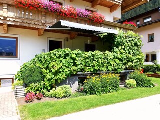 Vakantieappartement Mayrhofen Buitenaudio-opname 5