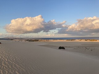 Dunes close to Corralejo