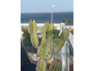 Ferienwohnung Costa Calma Außenaufnahme 8