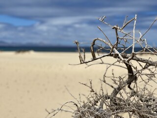 Appartamento per vacanze Costa Calma Ambiente 34