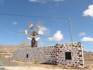 Canary Windmill