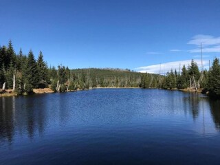 Appartement Freyung Environnement 19