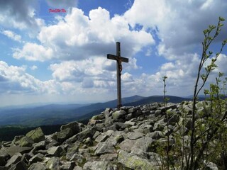 Appartement Freyung Environnement 27