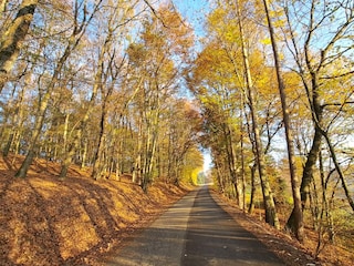 Ferienhaus Südsteirisches Weinland Außenaufnahme 13