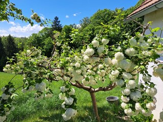 Ferienhaus Südsteirisches Weinland Umgebung 16