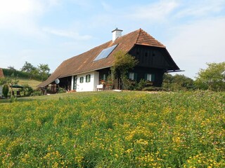Ferienhaus Südsteirisches Weinland Umgebung 18