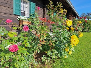 Ferienhaus Südsteirisches Weinland Außenaufnahme 22