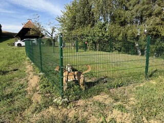 Vakantiehuis Südsteirisches Weinland Buitenaudio-opname 13