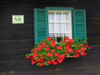 Casa per le vacanze Südsteirisches Weinland Registrazione all'aperto 5