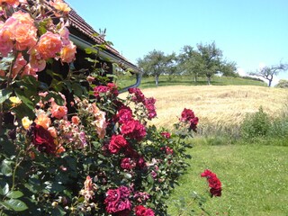 Casa per le vacanze Südsteirisches Weinland Ambiente 19