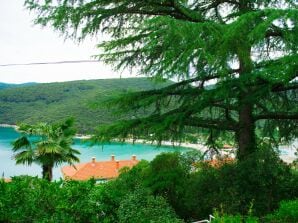 Apartment Ljerka - One bedroom A2 - Rabac - image1