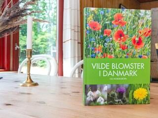 Vakantiehuis Gjerrild Nordstrand  13