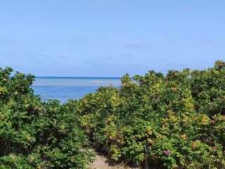 Vakantiehuis Gjerrild Nordstrand  20