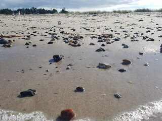 Maison de vacances Gjerrild Nordstrand  27