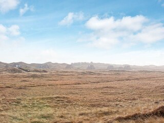 Vakantiehuis Rødhus  41