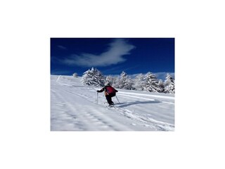 Vakantiehuis Bad Kleinkirchheim Omgeving 52