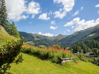 Vakantiehuis Bad Kleinkirchheim Buitenaudio-opname 15