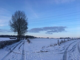 Maison de vacances Hamoir  42