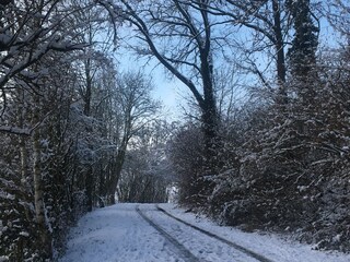 Ferienhaus Hamoir Umgebung 38