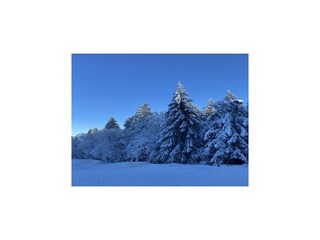 Maison de vacances Hamoir Environnement 39