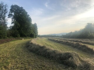 Casa per le vacanze Hamoir  43