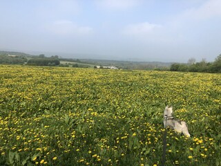 Casa per le vacanze Hamoir  44