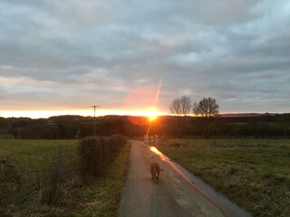 Ferienhaus Hamoir  45