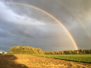 Maison de vacances Hamoir  47