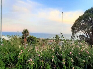 Ferienhaus Casares  36