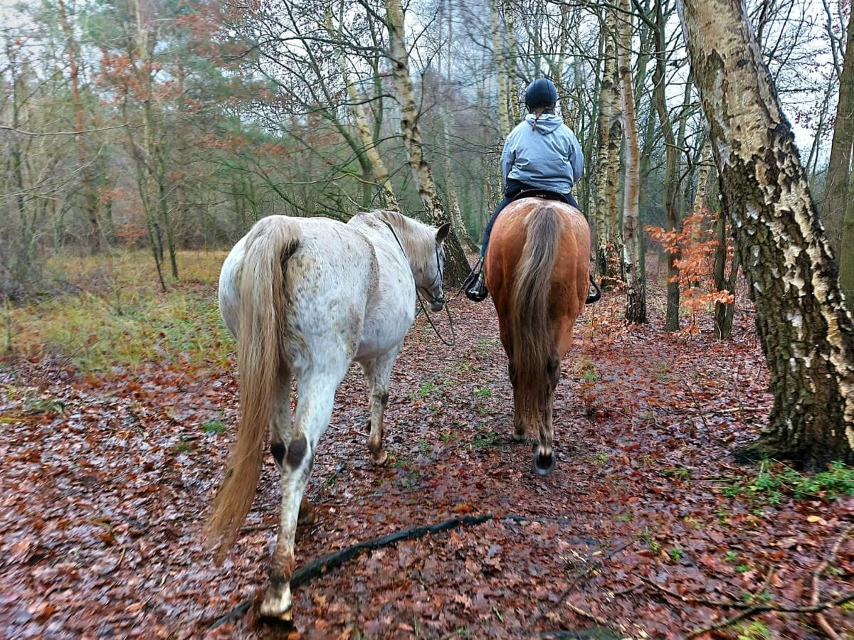 Für Wanderreiter ein kleines Paradies!