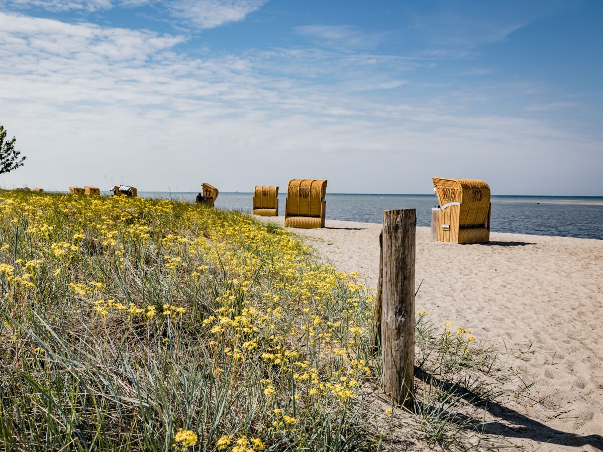 In nur 35 Minuten an der Ostsee!