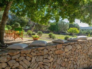 Finca Felanitx Außenaufnahme 14