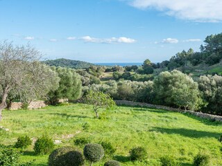 Tenuta Felanitx Registrazione all'aperto 24