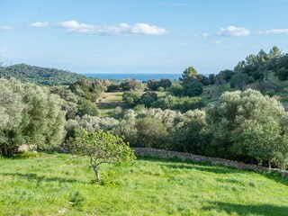 Finca Felanitx Außenaufnahme 22