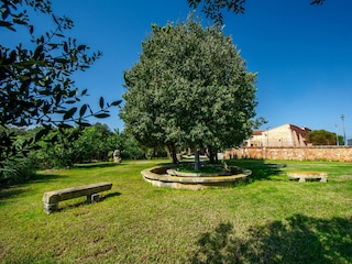 Apartment Vilafranca de Bonany Outdoor Recording 9