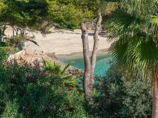 Villa Cala D'Or Entorno 53