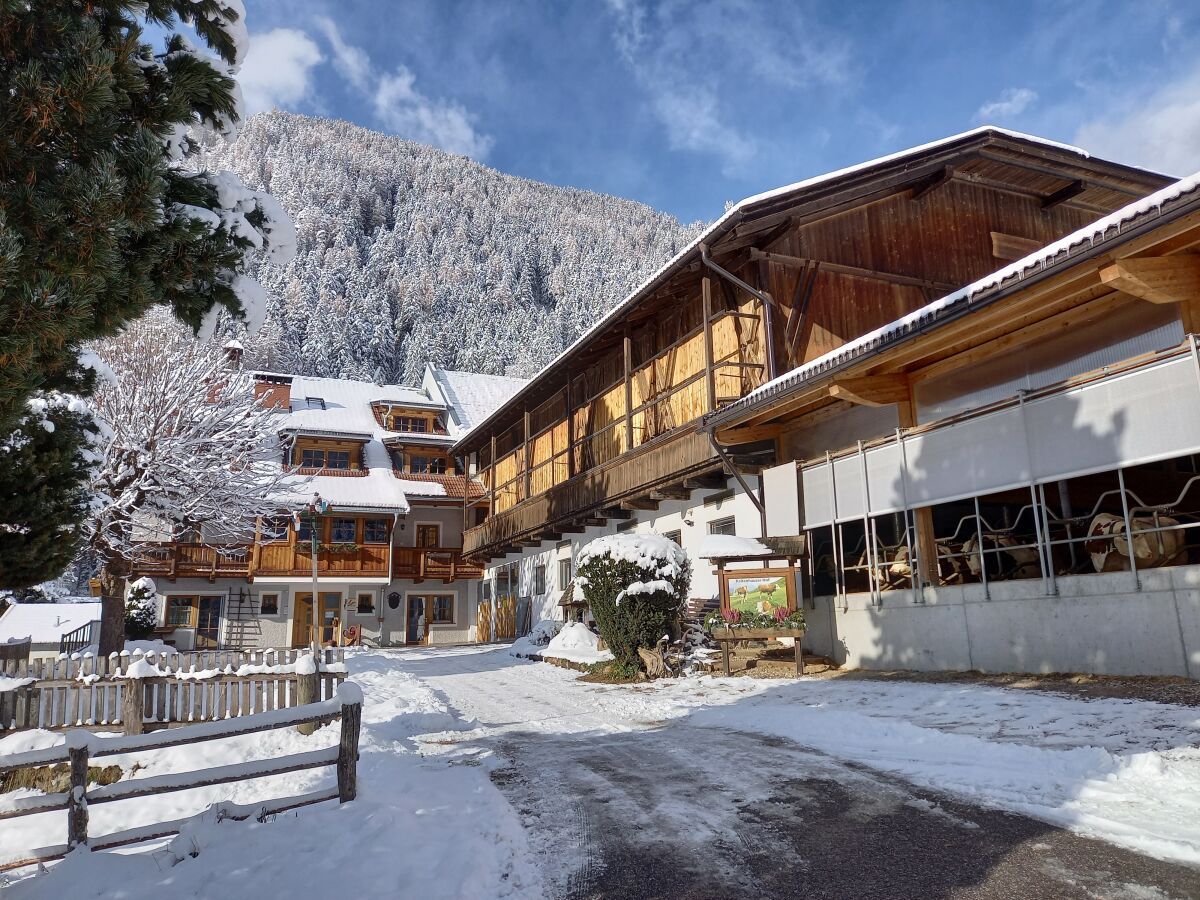 The farm Kaltenhauser in the winter