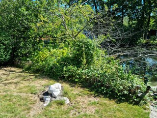 Chalet Geel Grabación al aire libre 4