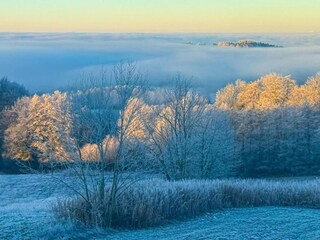 Apartment Zenting Environment 26