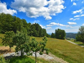 Appartement Zenting Environnement 19