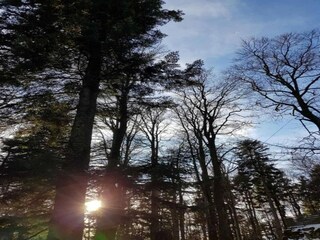 Appartement Zenting Environnement 21