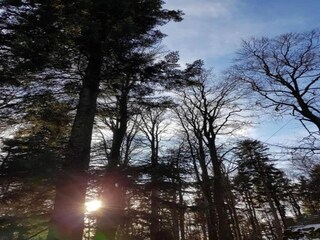 Appartement Zenting Omgeving 23