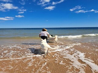 Holiday house Punta Prima Environment 34